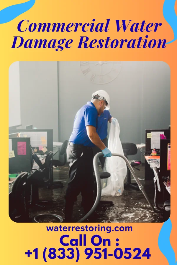 Commercial Water Damage Restoration in Paragon Estates, CO