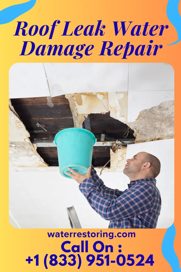Roof Leak Water Damage Repair in Paragon Estates, CO